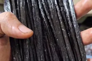 galeri-classy-vanilla-1-67567cb3385ae galeri-classy-vanilla-1-67567cb3385ae