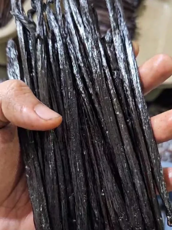 galeri-classy-vanilla-1-67567cb3385ae