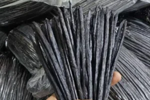 galeri-classy-vanilla-10-67567cbca1039 galeri-classy-vanilla-10-67567cbca1039