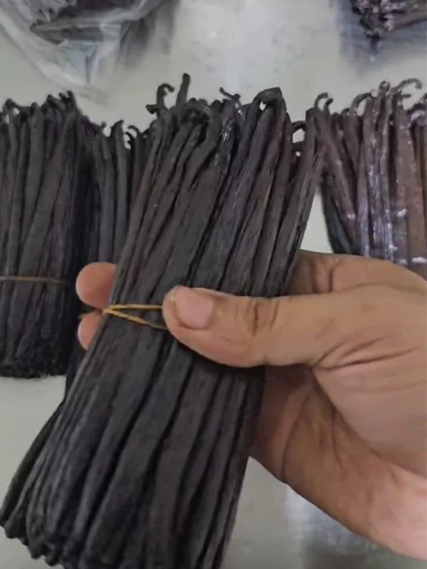 galeri-classy-vanilla-12-67567cb30e288