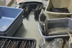 galeri-classy-vanilla-2-67567cb4ebecf galeri-classy-vanilla-2-67567cb4ebecf