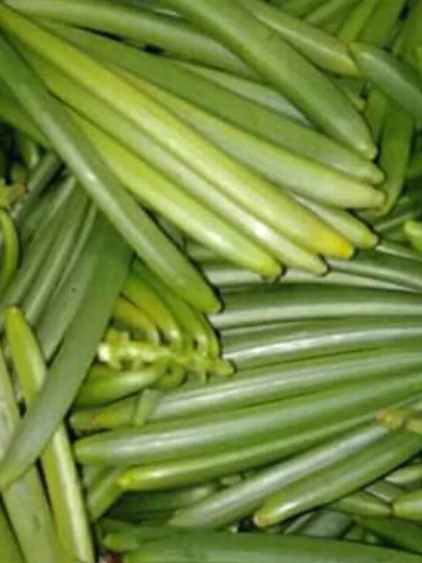 galeri-classy-vanilla-4-67567cb6c3b08