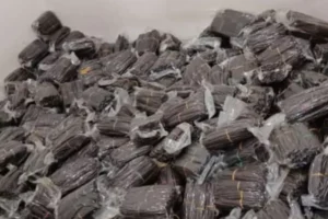 galeri-classy-vanilla-7-67567cb90aa71 galeri-classy-vanilla-7-67567cb90aa71