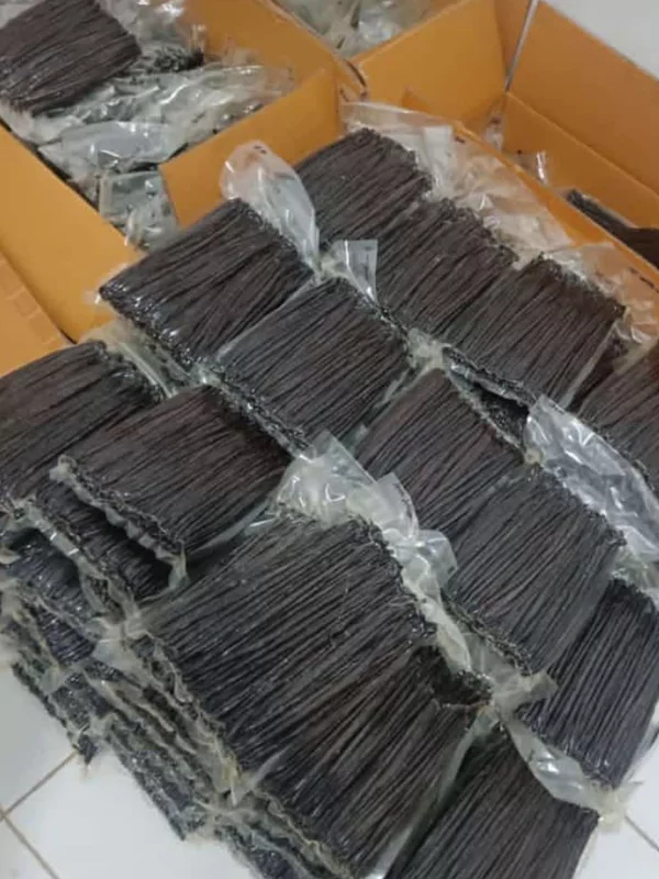 galeri-classy-vanilla-8-67567cbaad6b1