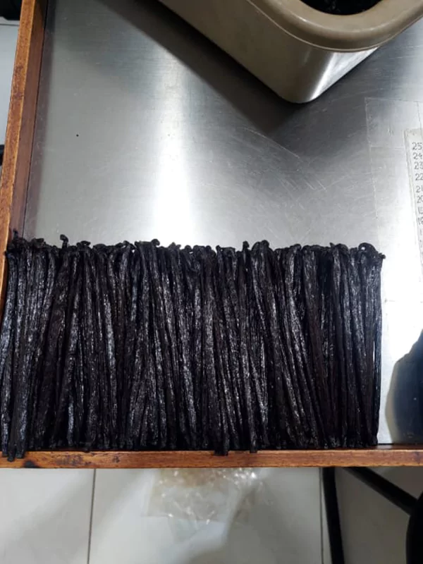 galeri-classy-vanilla-9-67567cbaeba3e