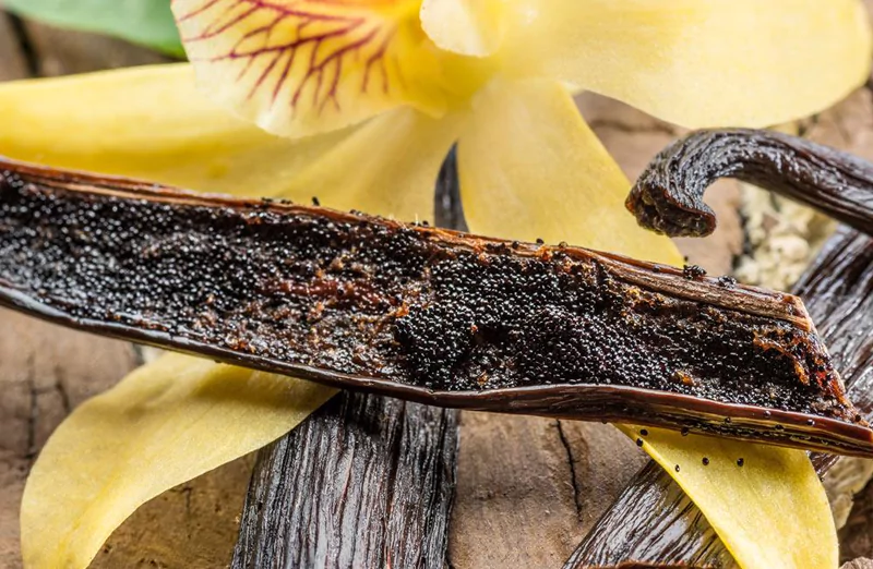 gambar-produk-classy-vanilla-1-67567e7e10b18